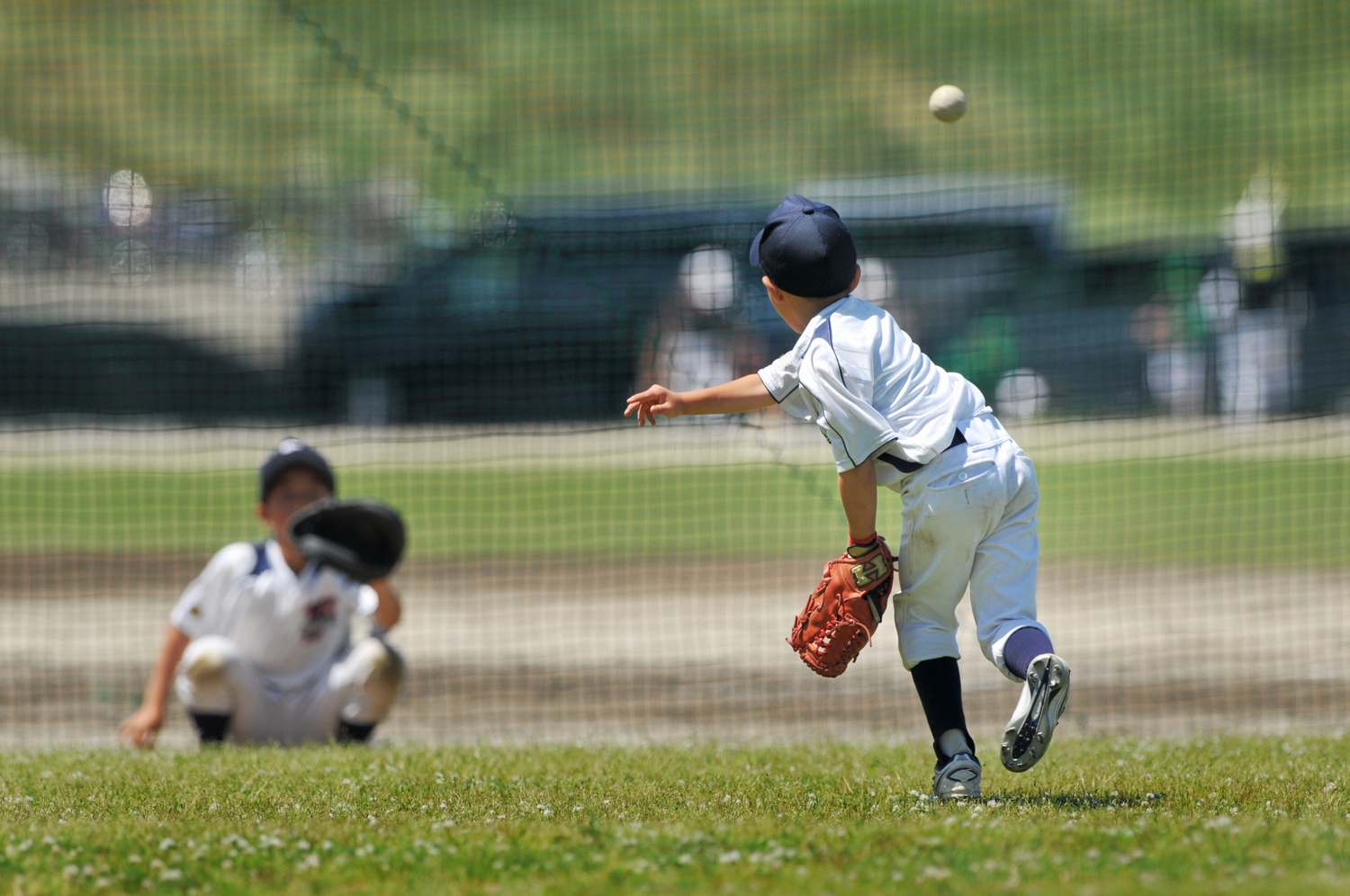少年野球のピッチャーについて（特徴・求められる能力・練習方法）